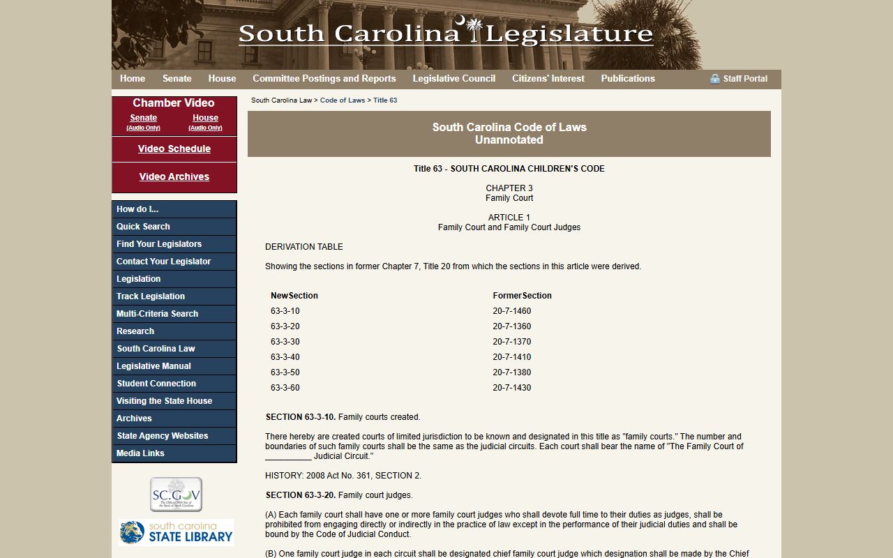 S.C. Code Title 63 Chapter 3 Family Court jurisdiction behind Greenville County family court dockets